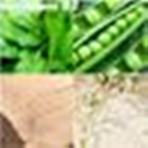 витамин В2 Текст